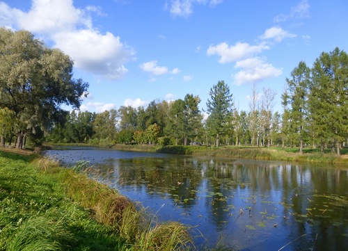 В сентябре