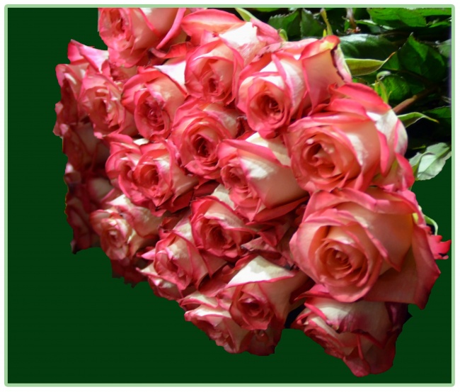 «ДАРИТЕ ЖЕНЩИНАМ ЛЮБОВЬ…»     работа  «Дарите женщинам цветы!»  автор sinicza.nina