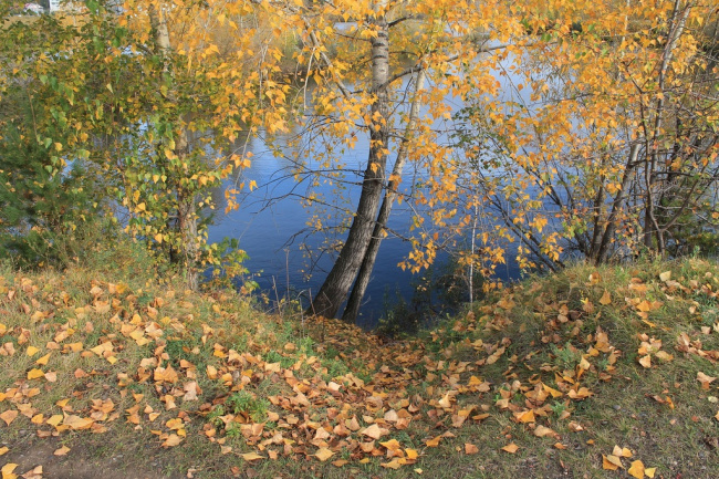 Путешествие в осень