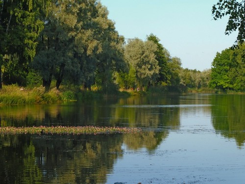 в Английском парке