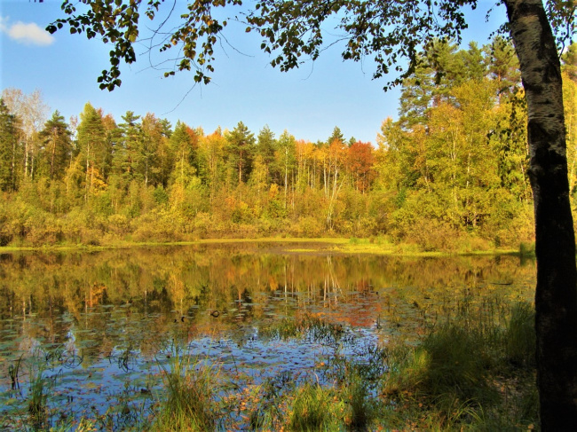 Осень на лесном осени