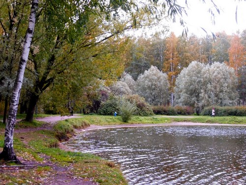 Палитра осени