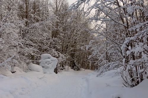 В заснеженном парке