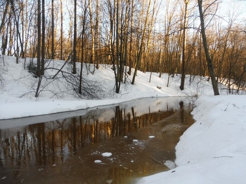 Старожиловка