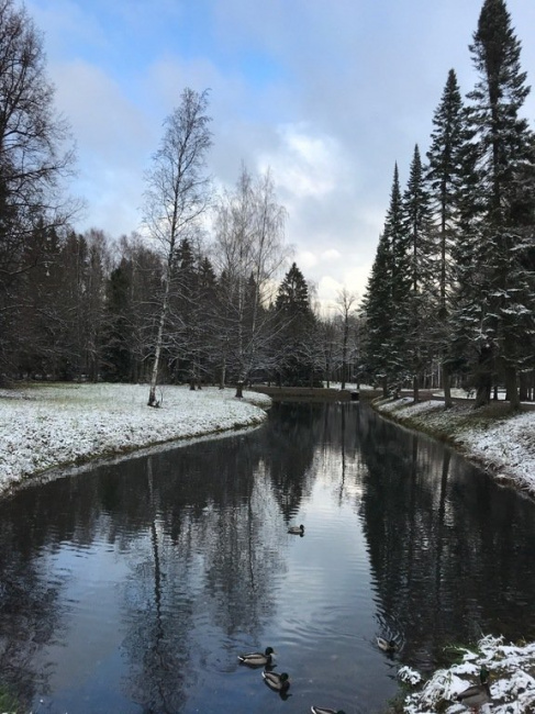 Воскресная прогулка