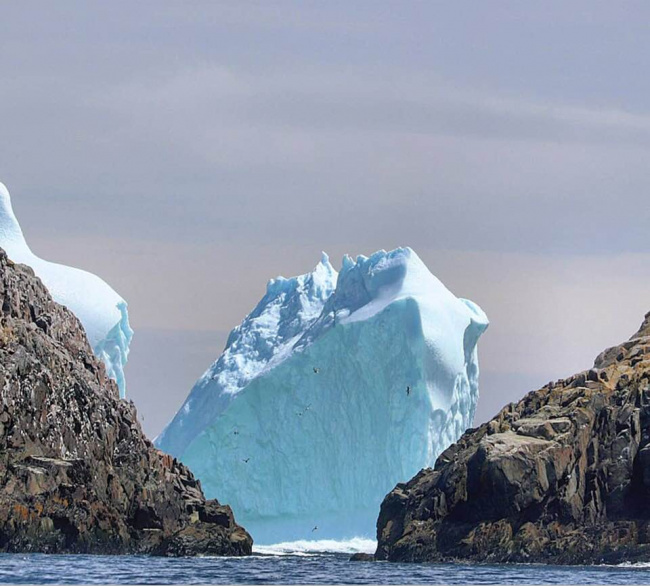 Айсберги у Ньюфаундленда