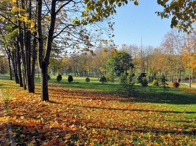 Осенью в парке