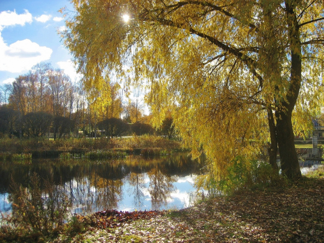 Осенний пейзаж