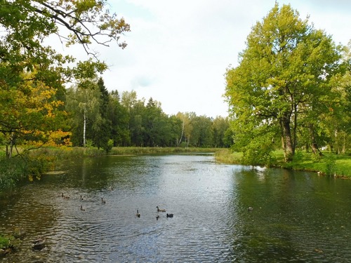 Осень ...в парке