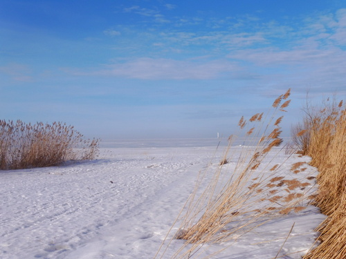 Финский залив