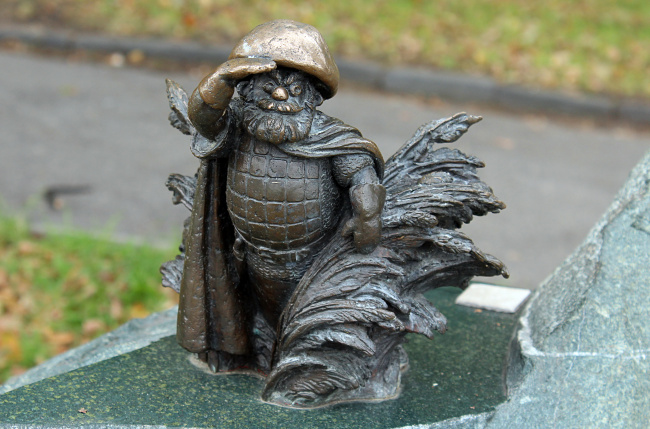 Гриб-дозорный в Рязани