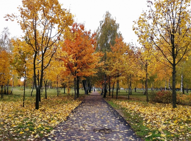 «…ОЧЕЙ ОЧАРОВАНЬЕ»  работа «Осень в парке правит бал» автор Лилия