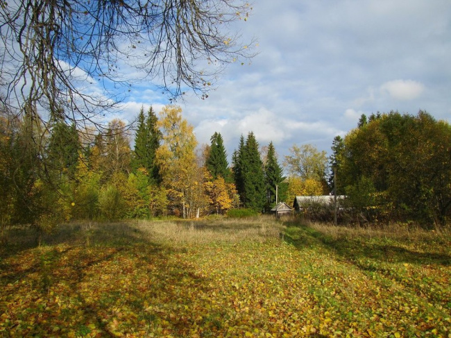 Осень золотая