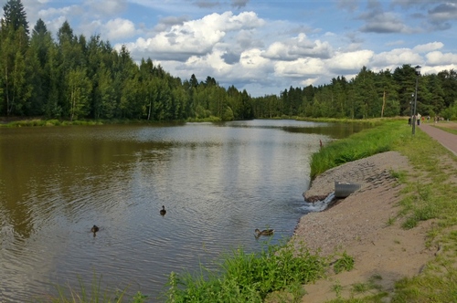 Пейзаж с рекой