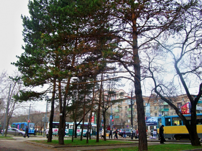 Будни городского перекрестка