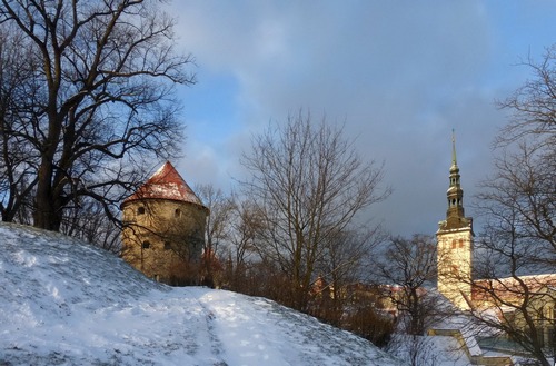 Зимний Таллинн