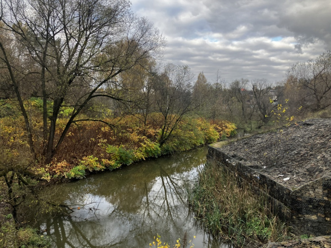 Пасмурный день