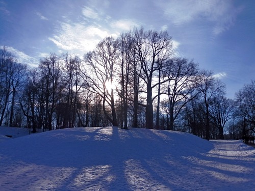 В парке