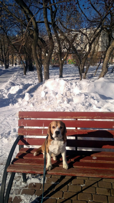 Эта скамейка уже занята