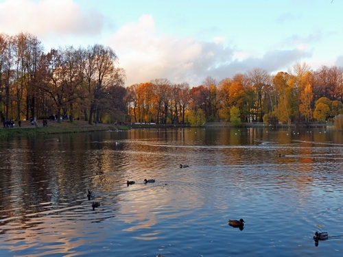 Осень и птицы