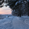 дорога в зимнем лесу
