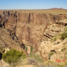 Колючка на кромке каньона