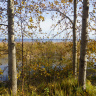 DSC05786.JPG