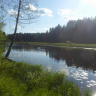 Оредеж