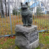Памятник коту