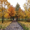 «…ОЧЕЙ ОЧАРОВАНЬЕ»  работа «Осень в парке правит бал» автор Лилия