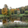 Осень в парке Павлоска