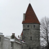 Башня Таллинна