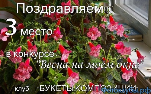 Апрельский Фокус Покус