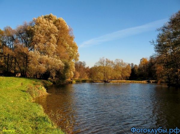 Шалунья-осень с яркими глазами!