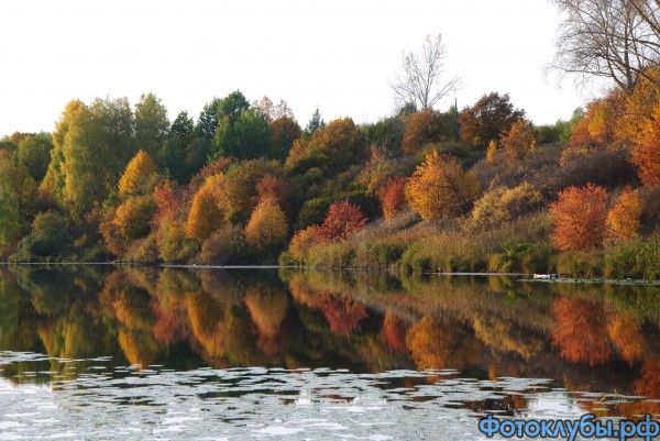 Краски осени