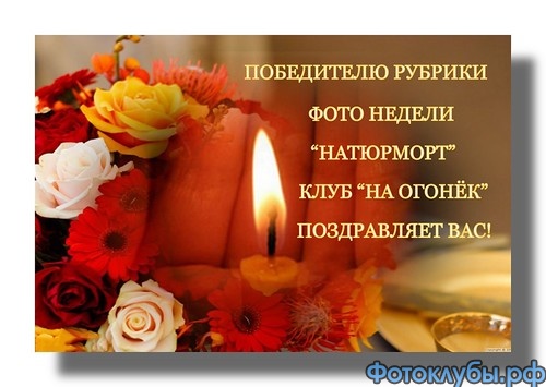 Сине-белое лето 16.11-22.11.2015