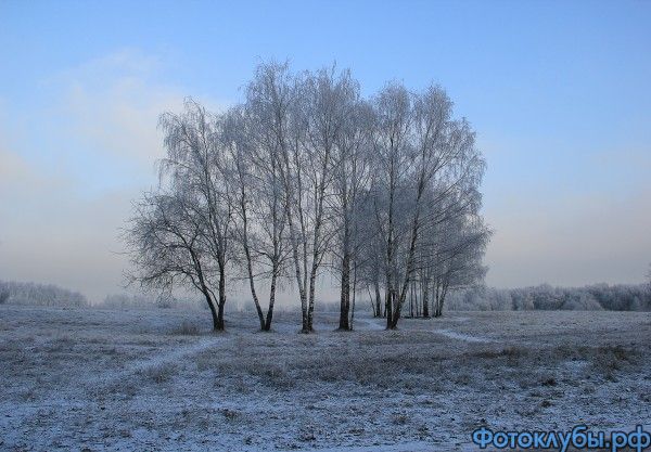 По тропинке в зиму