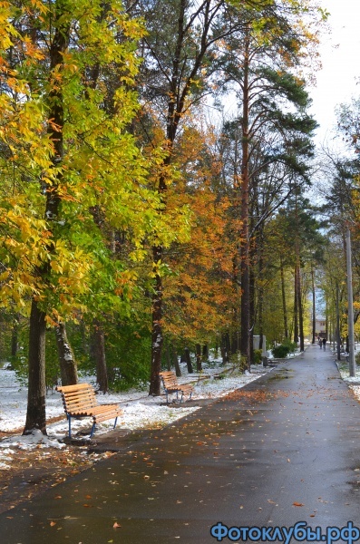 В осеннем парке