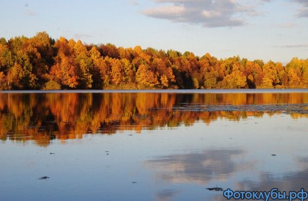 Пожар золотой