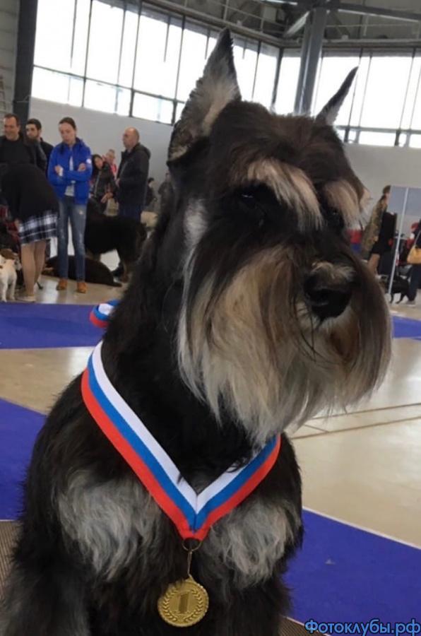 НА ВЫСТАВКЕ