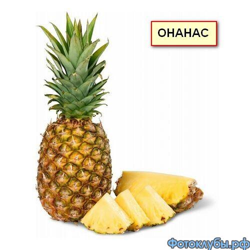 Дополнение к ТОЛКОВО-БЕСТОЛКОВОМУ СЛОВАРЮ