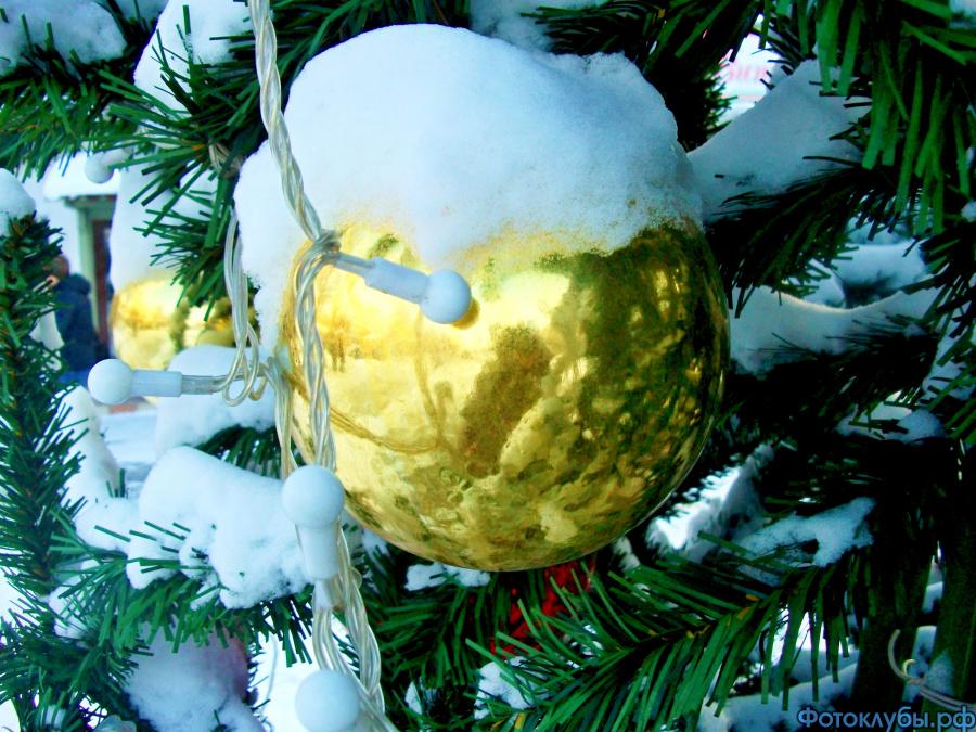 Шар таинственный,стеклянный....Что таится там,внутри ???