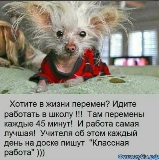 Немного юмора