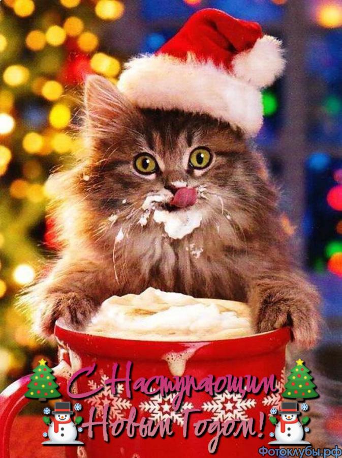 С НАСТУПАЮЩИМ НОВЫМ ГОДОМ!