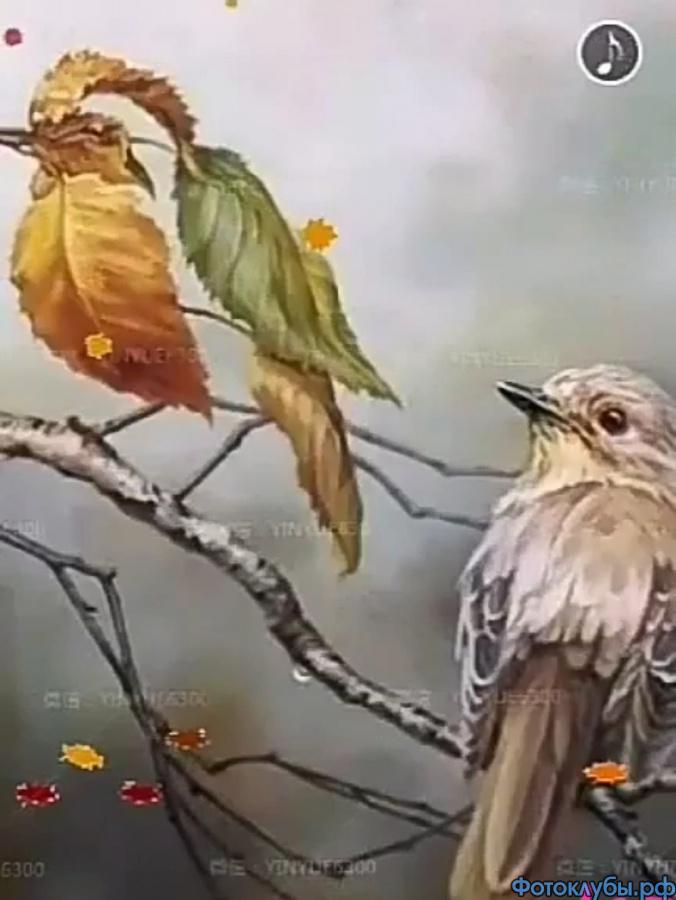 И снова загадочные картинки