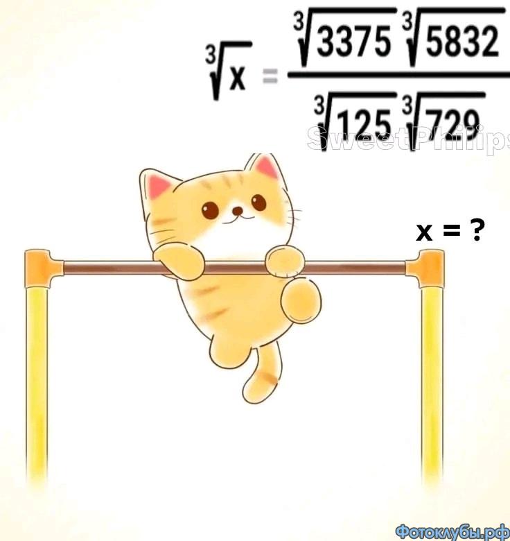 Любите котиков ? Х = ?