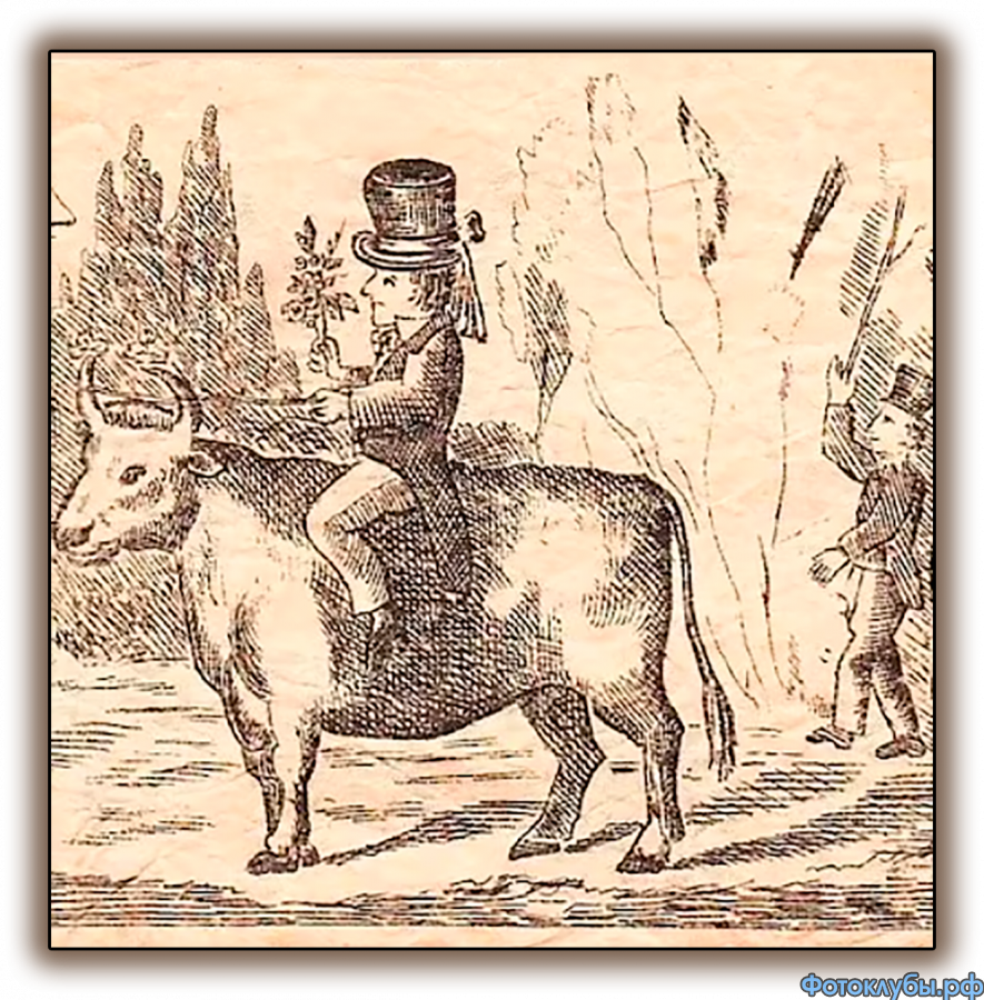 ГДЕ НЕВЕСТА ???