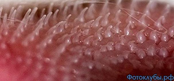 Два в одном