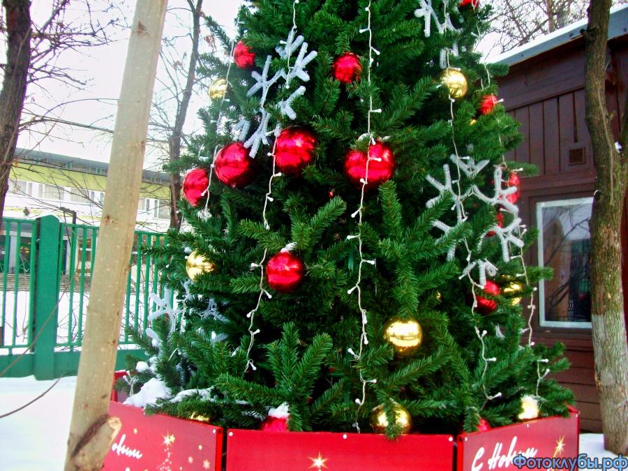 ПРЕДНОВОГОДНЯЯ ЭКСКУРСИЯ ПО МОСКВЕ