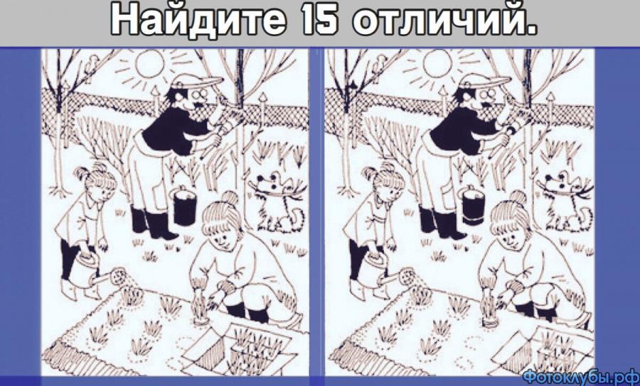 ДАЧНЫЕ ХЛОПОТЫ